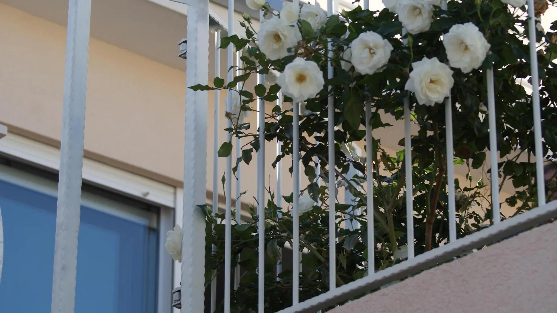 Lejlighed Wohnung 1 Im Erdgeschos Mit Terrasse Und Meerblick Trogir Kroatien